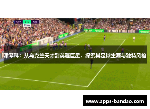 津琴科：从乌克兰天才到英超巨星，探索其足球生涯与独特风格