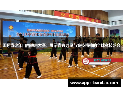 国际青少年自由搏击大赛:展示青春力量与竞技精神的全球竞技盛会 国际青少年自由搏击大赛:展示青春力量与竞技精神的全球竞技盛会