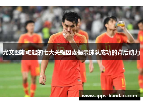 尤文图斯崛起的七大关键因素揭示球队成功的背后动力 尤文图斯崛起的七大关键因素揭示球队成功的背后动力