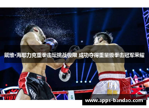 戴维·海耶力克重拳击坛挑战极限 成功夺得重量级拳击冠军荣耀 戴维·海耶力克重拳击坛挑战极限 成功夺得重量级拳击冠军荣耀