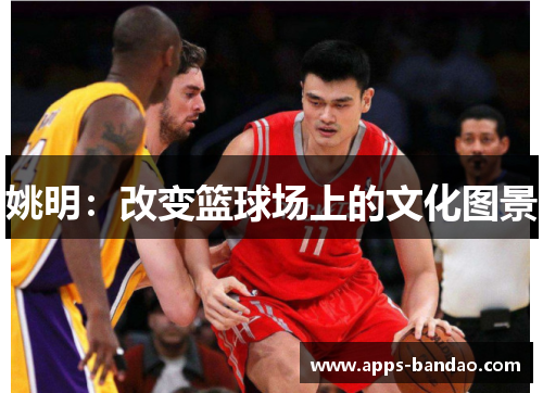 姚明:改变篮球场上的文化图景 姚明:改变篮球场上的文化图景