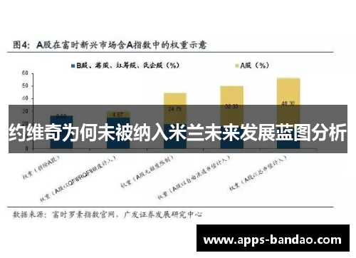 约维奇为何未被纳入米兰未来发展蓝图分析