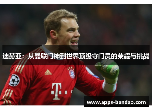 迪赫亚：从曼联门神到世界顶级守门员的荣耀与挑战