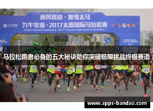 马拉松跑者必备的五大秘诀助你突破极限挑战终极赛道