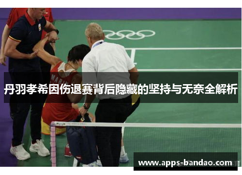 丹羽孝希因伤退赛背后隐藏的坚持与无奈全解析