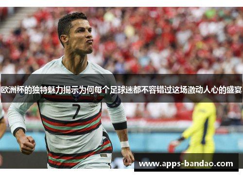 欧洲杯的独特魅力揭示为何每个足球迷都不容错过这场激动人心的盛宴
